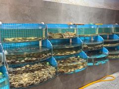 -蓝珊海鲜澳洲和牛自助餐厅