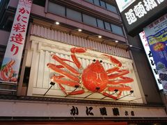 -蟹道乐(道顿堀本店)