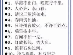 -深圳市福田区外国语小学(景秀校区)