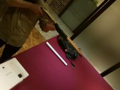 -真枪会射击俱乐部(河西中央公园店)