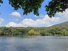 -紫霞湖公园