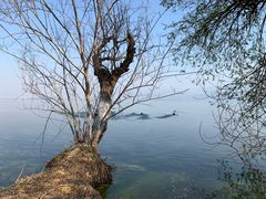 -西昌邛海湿地