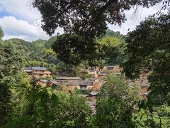 -杨家堂村