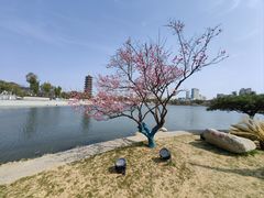-葛仙湖公园