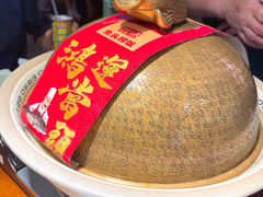 太平湖有机胖头鱼-魏铭鱼头捞饭(晋阳路店)