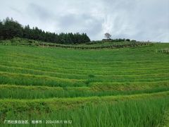 -龙脊梯田