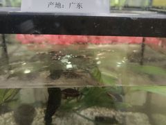 -上海昆虫博物馆