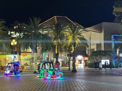 -三亚海昌梦幻海洋不夜城