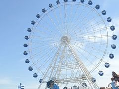 -秦皇岛乐岛海洋王国