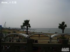 -碧海金沙