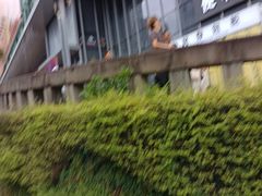 -顺风123(观音桥大融城店)