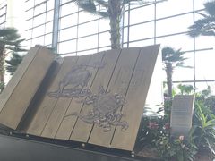 -郑州新郑国际机场