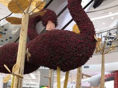 -凯德广场(学府店)