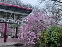 -库肯霍夫公园
