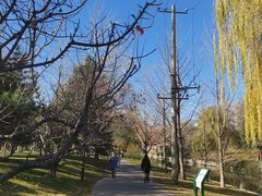 -元大都城垣遗址公园