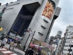 -涩谷区