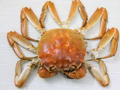 iphone_upload_pic-联兴烤吧(茶山店)