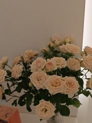 -苑苑vbeauty科技美容SPA