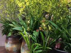 -花到家(富贵鸟花艺行)