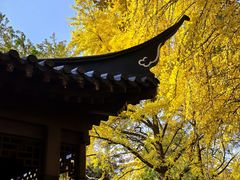 -郑和公园