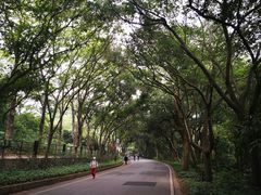 -广州市白云山风景名胜区