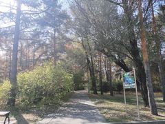 -黑龙江省森林植物园