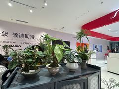 -东莞君尚