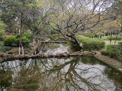 -平湖九龙山旅游度假区