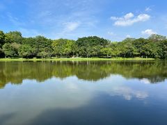 -东莞植物园