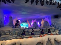 -帝企鹅自助餐厅•儿童岛•真企鹅(长隆企鹅酒店)