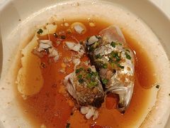 -醉辉皇原味海鲜江南菜(成都大魔方店)
