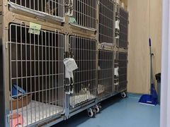 -恒幸动物医院·急重症转诊中心·神经内外科·CT核磁