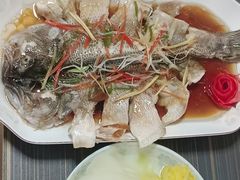 -田螺阿姨自营月嫂·育儿嫂(高新店)