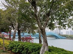 -五缘湾湿地公园