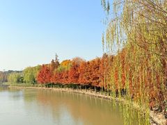 -狼山风景名胜区