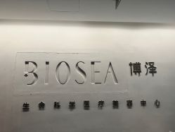 -北京博泽医疗美容门诊部