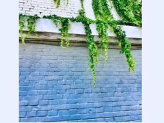 -天幕新彩云国际影城(激光巨幕店)