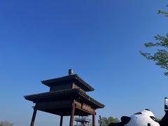 -苏州太湖国家湿地公园