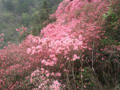 -木兰云雾山