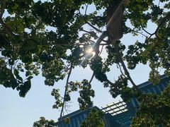 -星巴克(深圳前海企业公馆店)