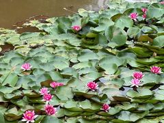 -艾溪湖湿地公园