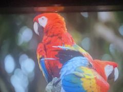 -龍栖轻奢足道·按摩·SPA(汇峰大厦店)