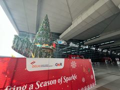 -英迪拉·甘地国际机场