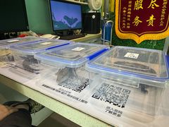 -雨林宠物医院 非犬猫异宠专科
