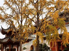 -上海东林寺(金山区)