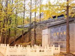 -阳台山自然风景区