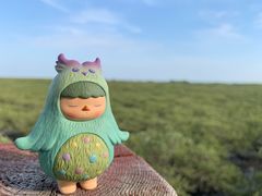 -北海金海湾红树林生态旅游区