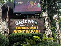 -清迈夜间动物园