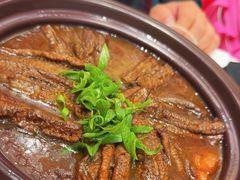 -丁老爷子苏香圆