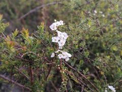 -金孔雀温泉旅游度假村